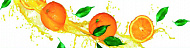 Панель SP Lida 006  2800*610*6